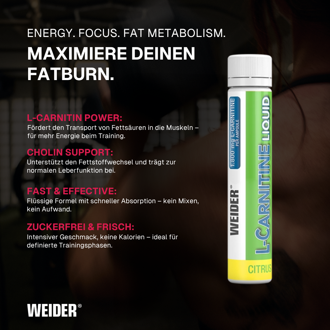 L-Carnitine Liquid